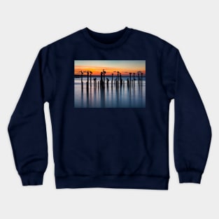 Pelican Silhouettes at Sunset Crewneck Sweatshirt